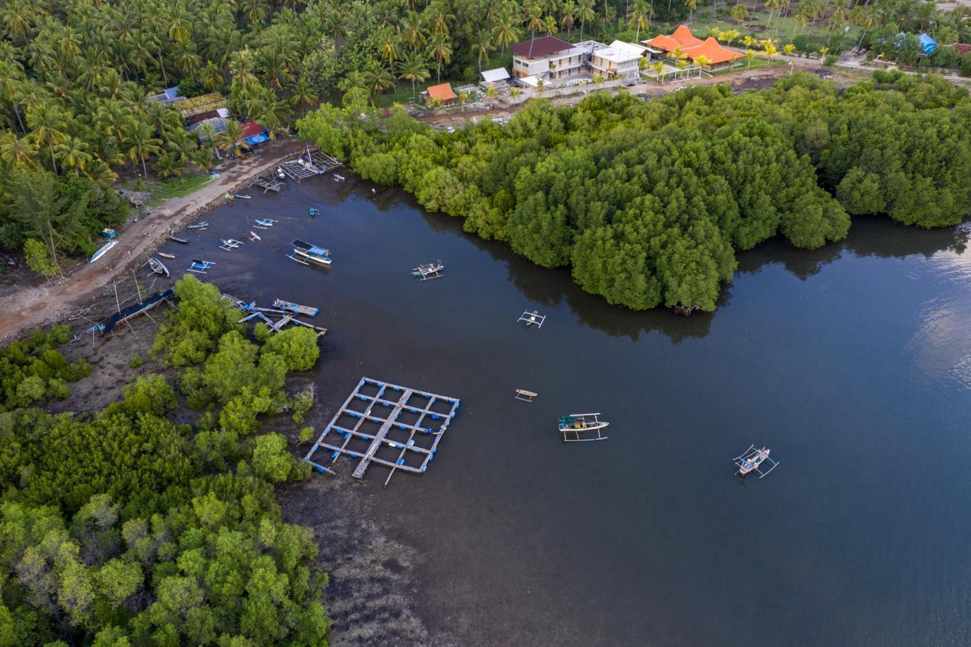 Mangroove Bay Boutique Hostel บันยูเวดัง ภายนอก รูปภาพ